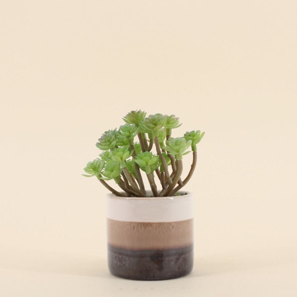 Plante grasse artificielle pot céramique beige | Hashtag Déco