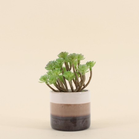 Plante grasse artificielle pot céramique beige | Hashtag Déco