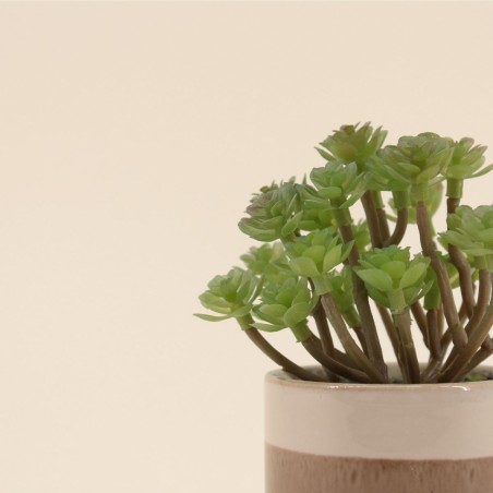 Plante grasse artificielle pot céramique beige | Hashtag Déco