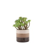 Plante grasse artificielle pot céramique beige | Hashtag Déco