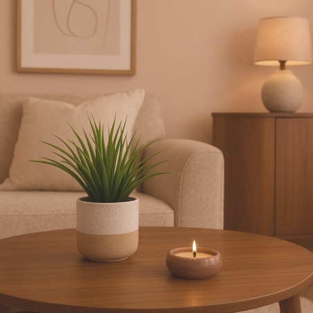 Plante artificielle céramique bicolore 26cm | Hashtag Déco