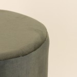 Pouf en velours vert "King of dogs" 37cm | Hashtag Déco