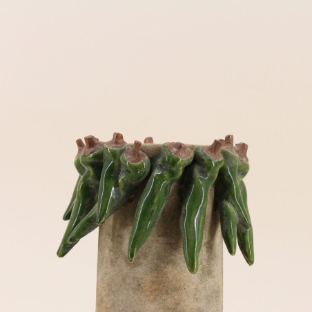 Vase céramique vert relief piments 17x29cm | Hashtag Déco
