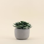 Plante artificielle verte pot ciment 12cm | Hashtag Déco