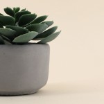 Plante artificielle verte pot ciment 12cm | Hashtag Déco