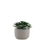 Plante artificielle verte pot ciment 12cm | Hashtag Déco