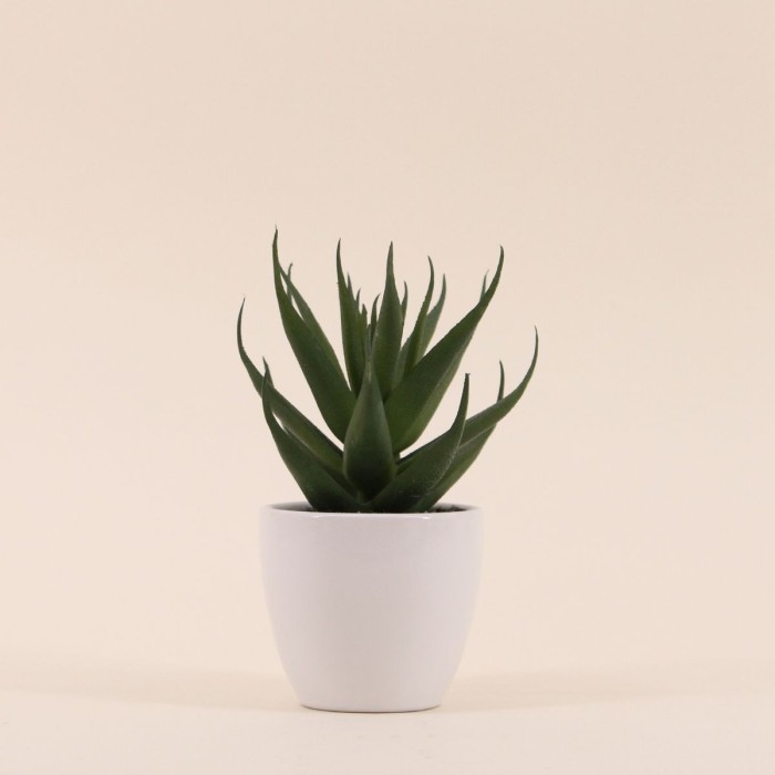 Plante grasse artificielle pot céramique blanc | Hashtag Déco
