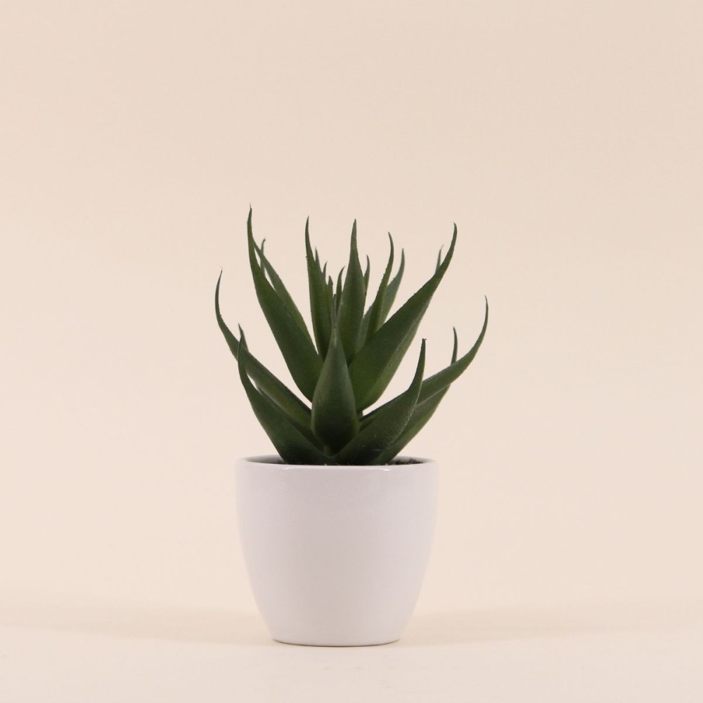 Plante grasse artificielle pot céramique blanc | Hashtag Déco