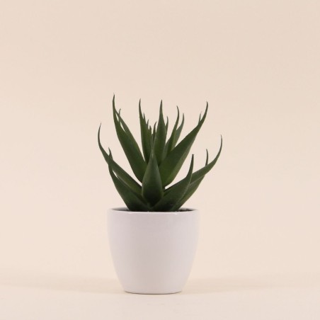 Plante grasse artificielle pot céramique blanc | Hashtag Déco