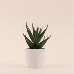 Plante grasse artificielle pot céramique blanc | Hashtag Déco