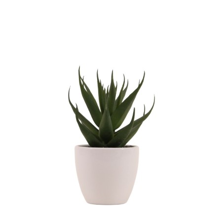 Plante grasse artificielle pot céramique blanc | Hashtag Déco