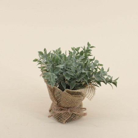 Lot de 6 plantes artificielles en jute beige | Hashtag Déco