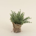 Lot de 6 plantes artificielles en jute beige | Hashtag Déco