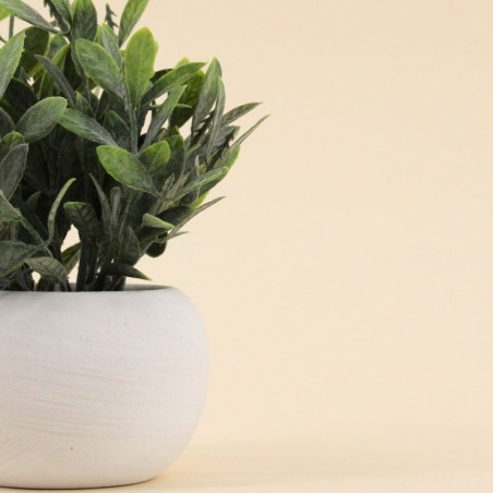Plante artificielle 18cm pot céramique blanche | Hashtag Déco