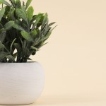 Plante artificielle 18cm pot céramique blanche | Hashtag Déco