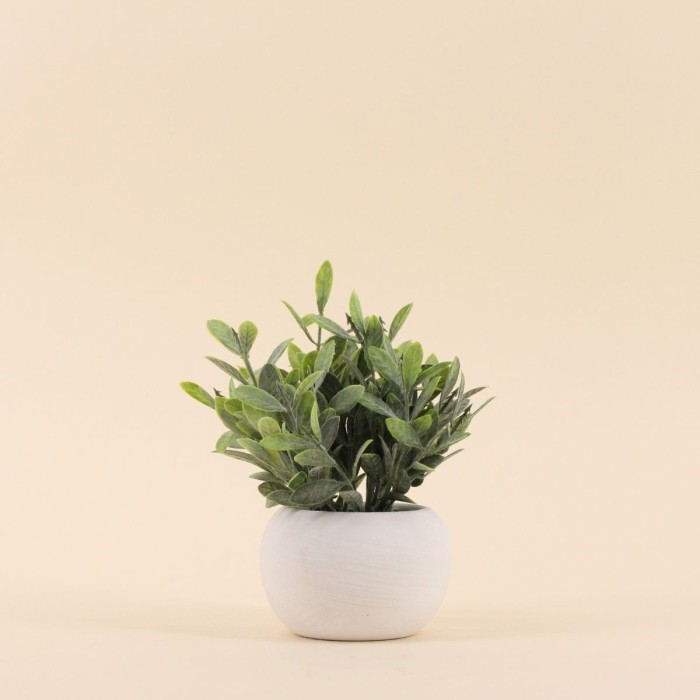 Plante artificielle 18cm pot céramique blanche | Hashtag Déco