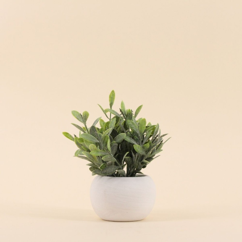 Plante artificielle 18cm pot céramique blanche | Hashtag Déco