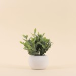 Plante artificielle 18cm pot céramique blanche | Hashtag Déco