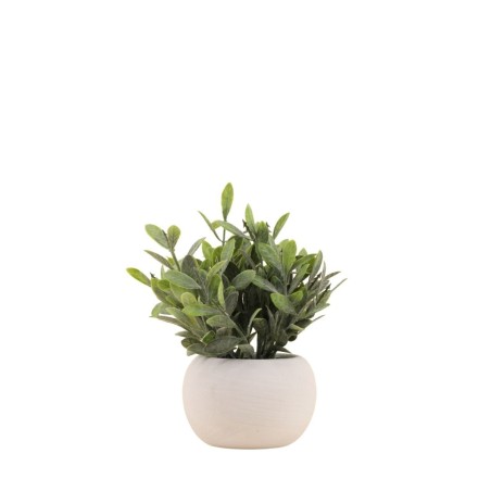 Plante artificielle 18cm pot céramique blanche | Hashtag Déco
