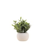 Plante artificielle 18cm pot céramique blanche | Hashtag Déco