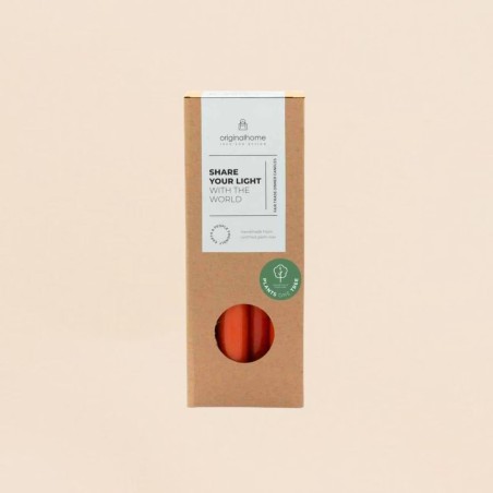 Bougies cierges terracotta en huile de palme | Hashtag Déco