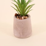 Plante artificielle ciment gris 11cm élégante | Hashtag Déco
