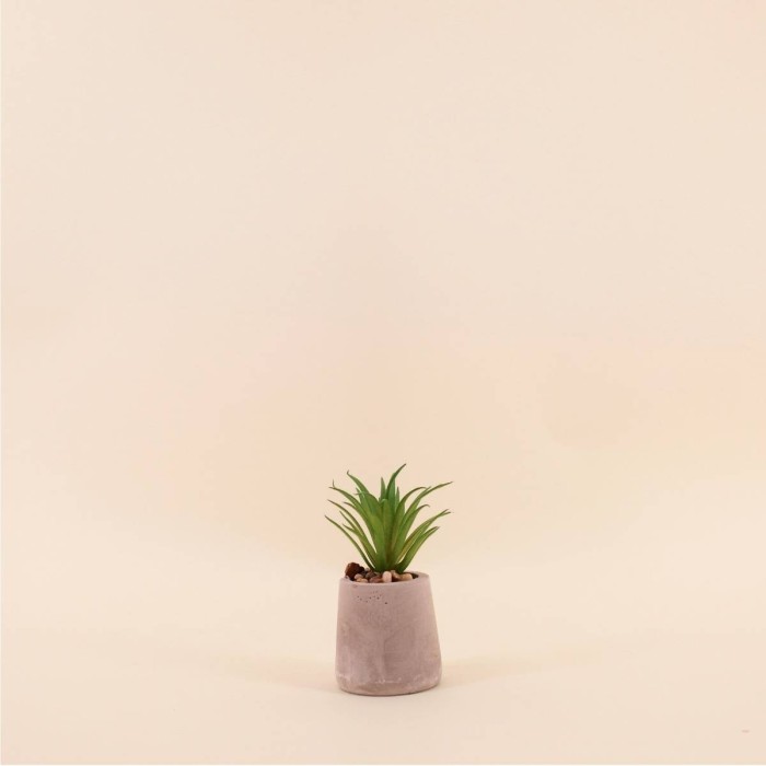 Plante artificielle ciment gris 11cm élégante | Hashtag Déco