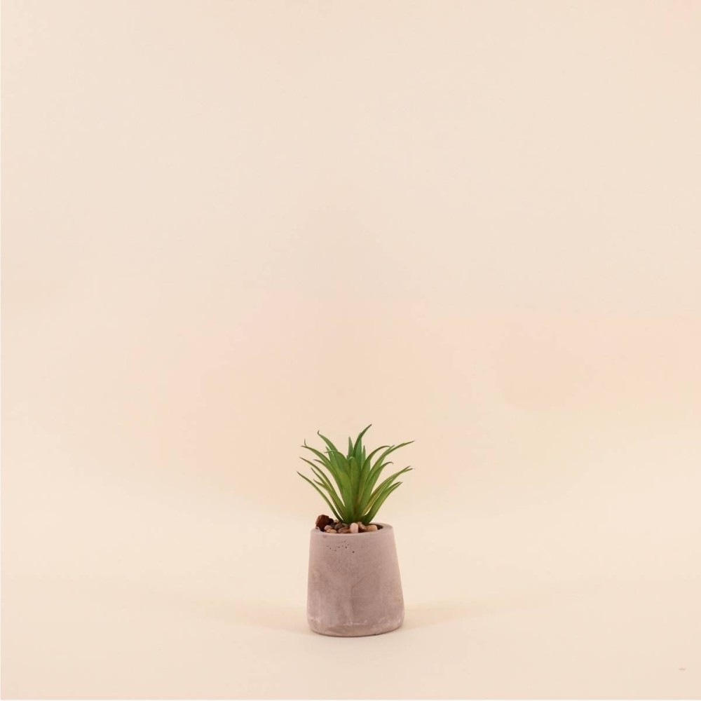 Plante artificielle ciment gris 11cm élégante | Hashtag Déco