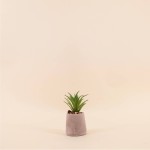Plante artificielle ciment gris 11cm élégante | Hashtag Déco