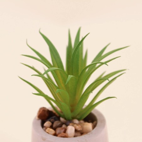 Plante artificielle ciment gris 11cm élégante | Hashtag Déco