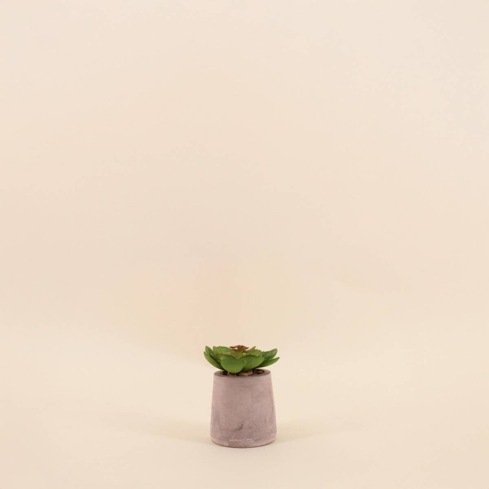 Plante artificielle ciment gris 8cm | Hashtag Déco