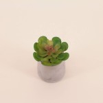 Plante artificielle ciment gris 8cm | Hashtag Déco