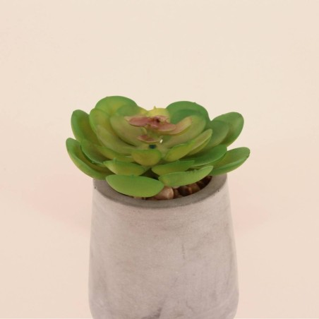 Plante artificielle ciment gris 8cm | Hashtag Déco