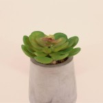 Plante artificielle ciment gris 8cm | Hashtag Déco