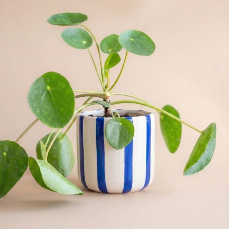 Cache céramique bleu/blanc 9cm en dolomite | Hashtag Déco