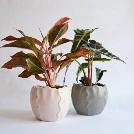 Cache pot céramique festonné dolomite blanc | Hashtag Déco