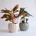 Cache pot céramique festonné dolomite blanc | Hashtag Déco