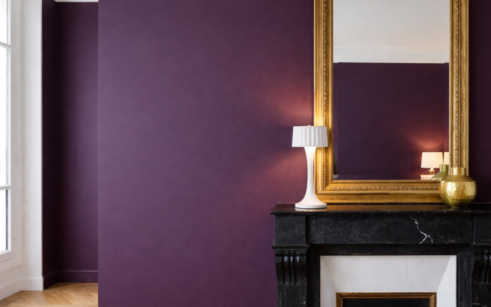 Photo ambiance couleur plum noir